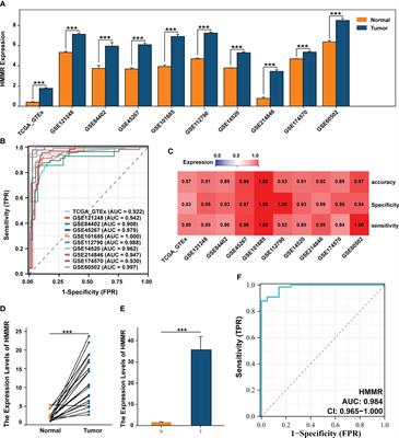 Coupled scRNA-seq and Bulk-seq reveal the role of HMMR in hepatocellular carcinoma